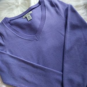 Banana Republic Merino Sweater